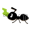 pleasant lives image