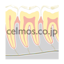 dental image