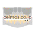 dental image