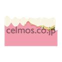 dental image
