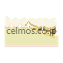 dental image